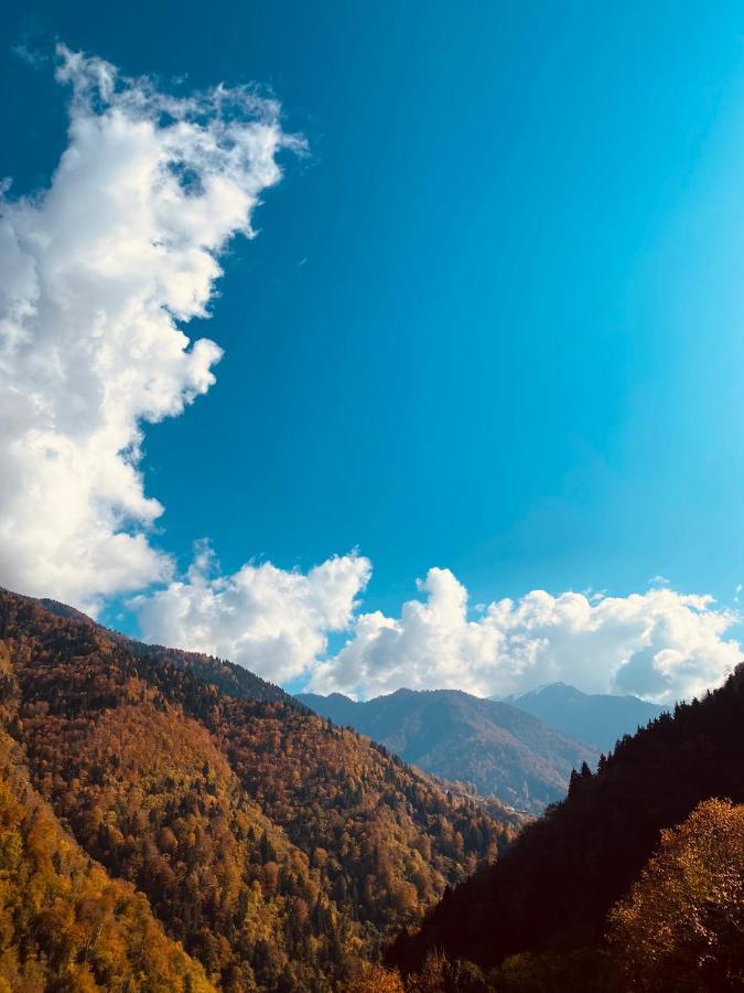 Seyr-I Cennet Dag Evleri Çamlıhemşin Exteriér fotografie