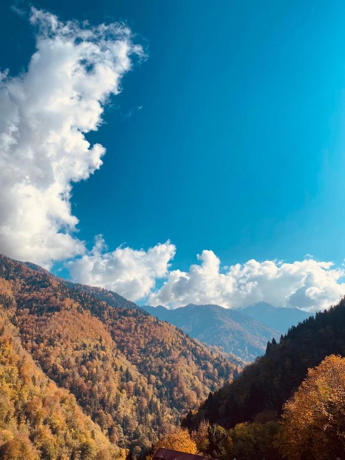 Seyr-I Cennet Dag Evleri Çamlıhemşin Exteriér fotografie