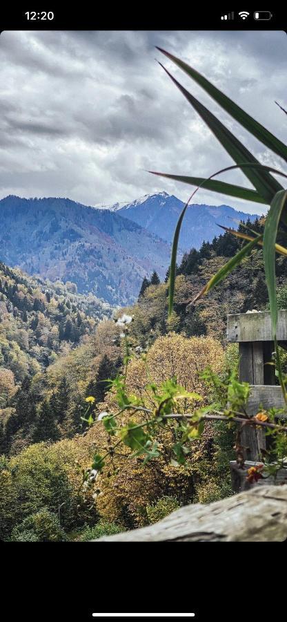 Seyr-I Cennet Dag Evleri Çamlıhemşin Exteriér fotografie